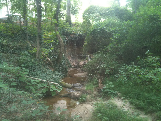 Sugar Hill Road Stream Restoration